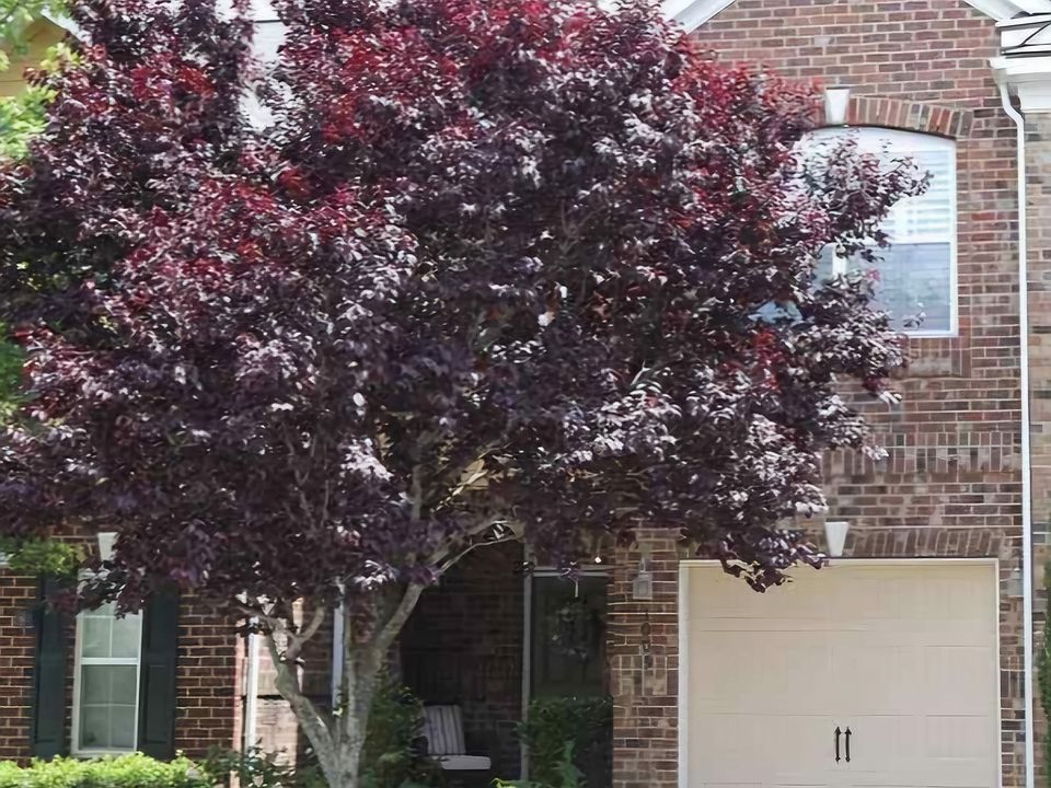 Entrance with covered entryway and garage access