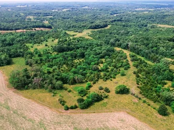 Grouse Ave, La Plata, MO 63549