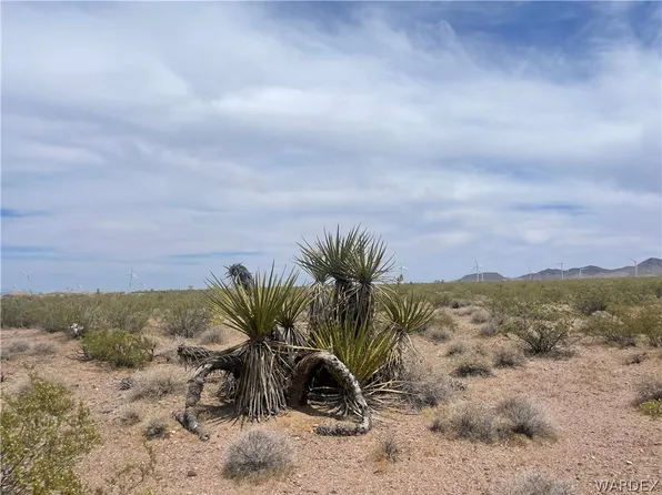 11481 W Saddle Back Rd, Willow Beach, AZ 86445