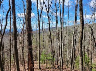 L288 Brushy Top Rd, Ellijay, GA 30540