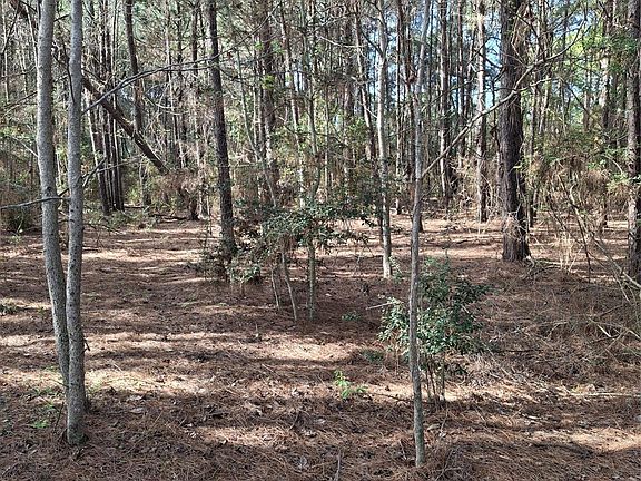 5th image of 25450 Decker Prairie Rosehill Rd