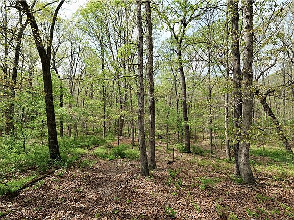 4th image of LOT-23CC Hummingbird Rd
