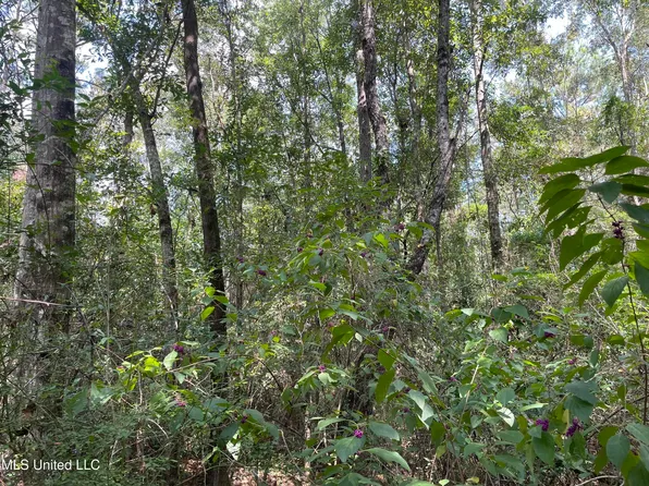 16509 McGregor Rd, Vancleave, MS 39565