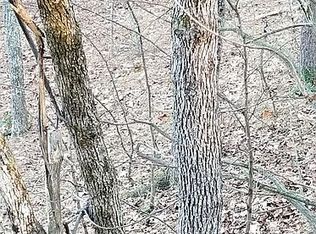 Hoefer Rd, Elizaville, NY 12523