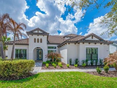 5305 Osprey Ridge Dr, Lithia, FL, 33547