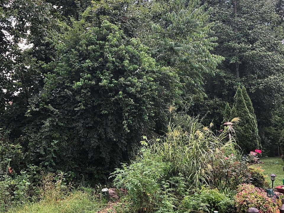 2nd image of 119 Yona Way Lot 4