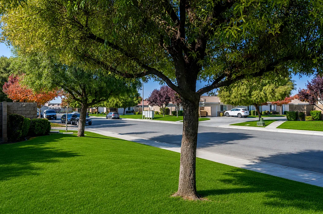 Tyner Ranch Townhomes — Photo 1