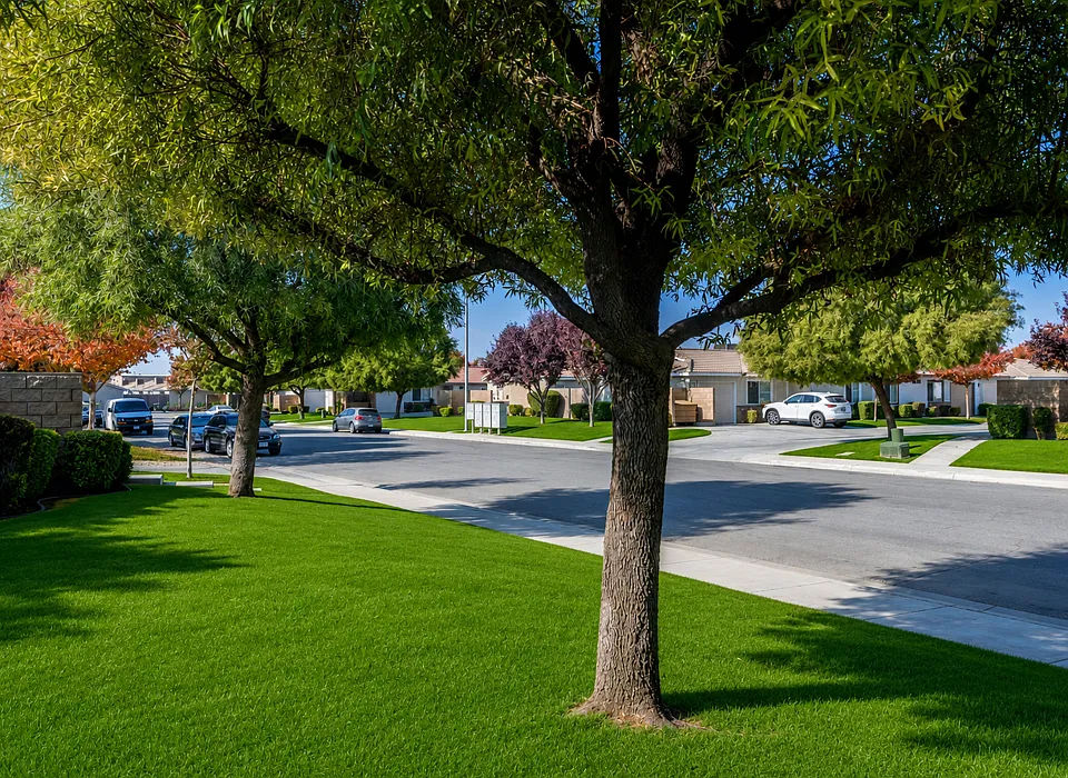 Tyner Ranch Townhomes