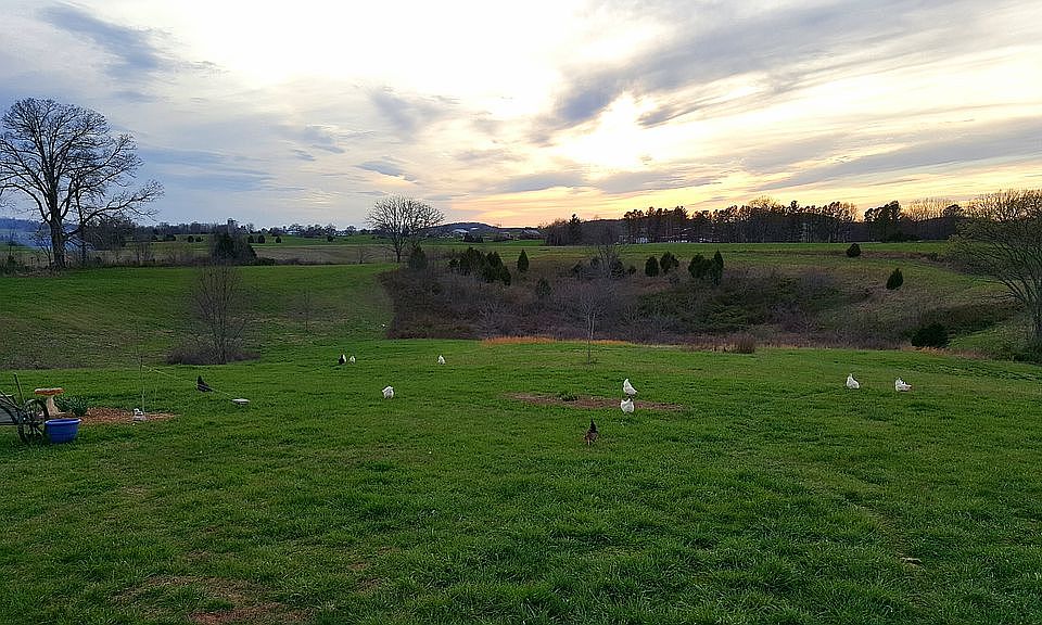 View from front porch