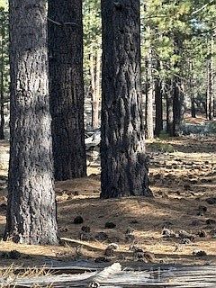 5th image of 34557 Polique Canyon Rd Lot 3055