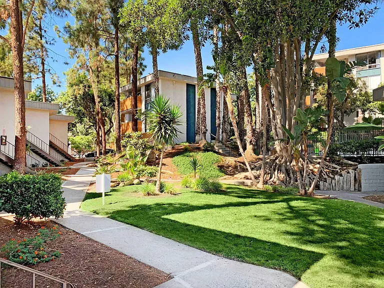 Trolley Palm — Photo 12