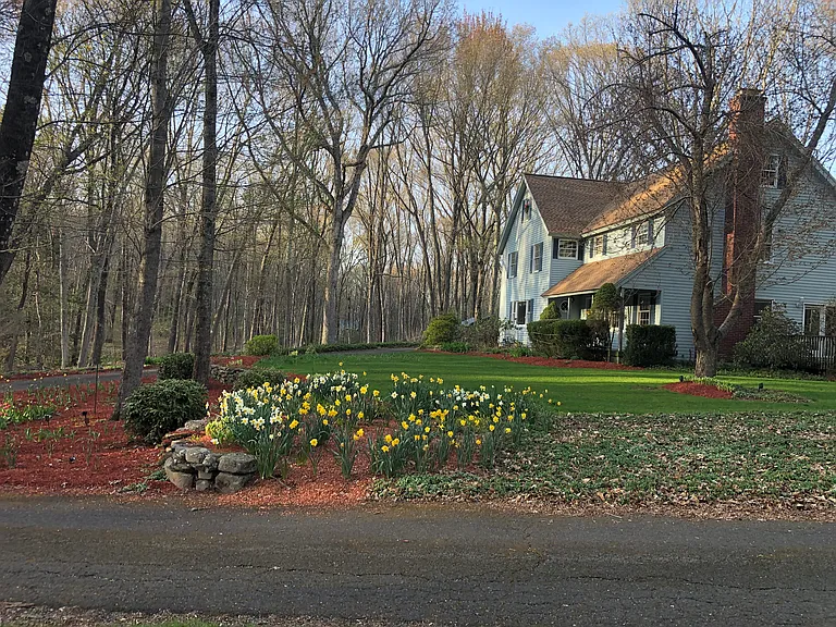 58 Rowley Rd — Photo 46