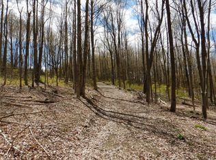 0 Timmerman Hill Rd, Cortland, NY 13045