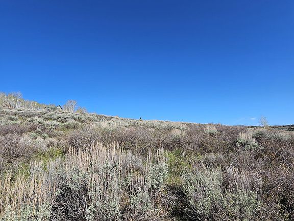 5th image of 1999 County Road 162
