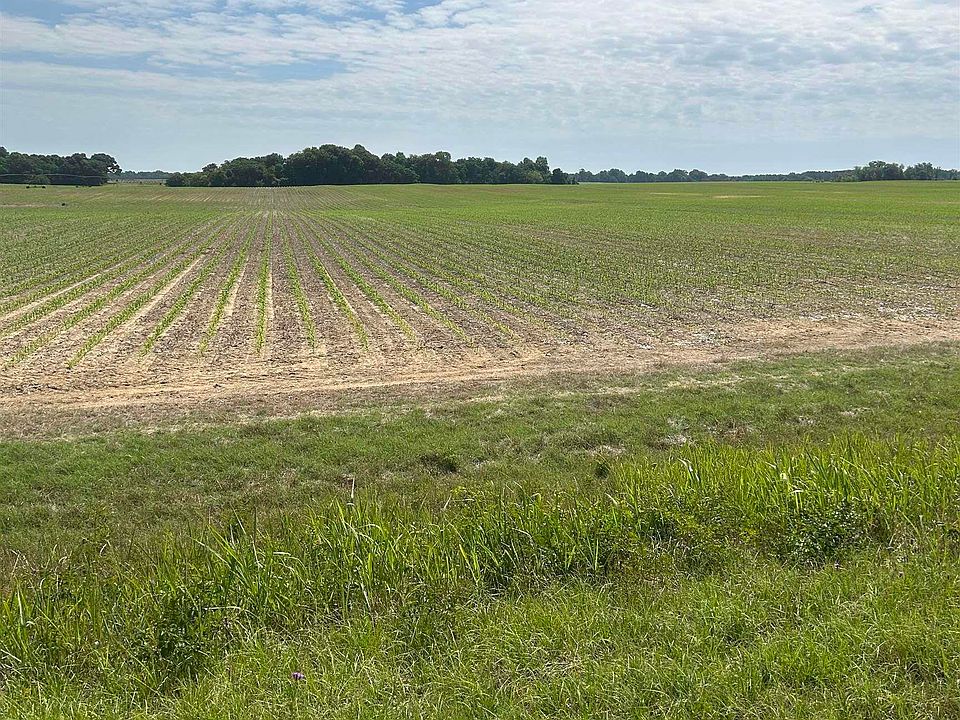 1st image of Royal Rd