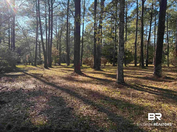 0 Venice Ct, Mobile, AL 36605