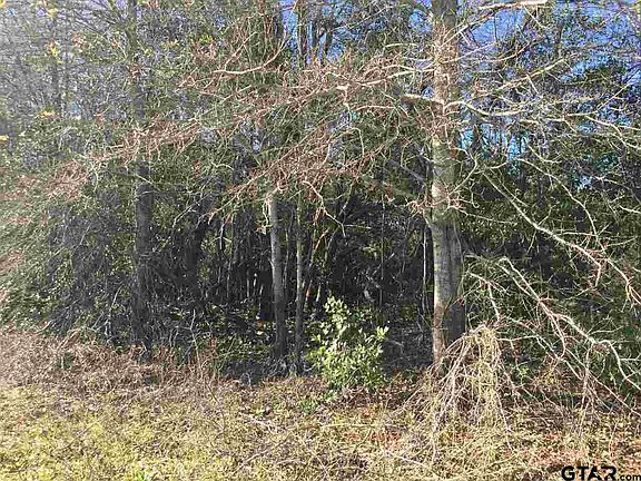 4th image of 0 S Hillcreek Rd Lot 2133-2