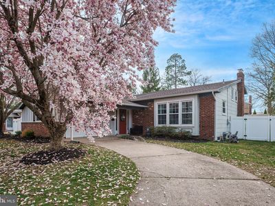 104 Brentwood Dr, Mount Laurel, NJ, 08054