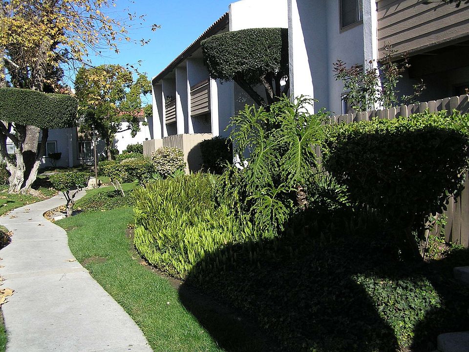 Attractive Complex