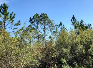 0 SW Brown Rd, Lee, FL 32059