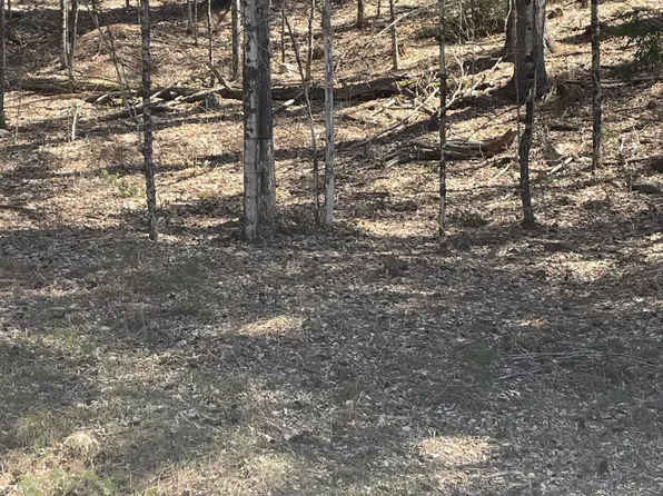 L4-5 Marina Road, Chestertown, NY 12817