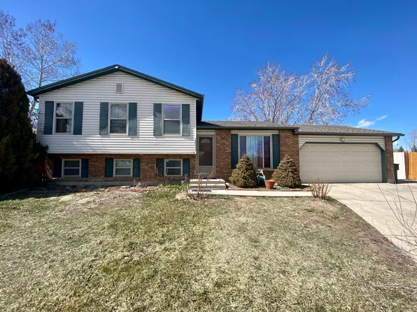 10971 Birch Dr, Thornton, CO 80233