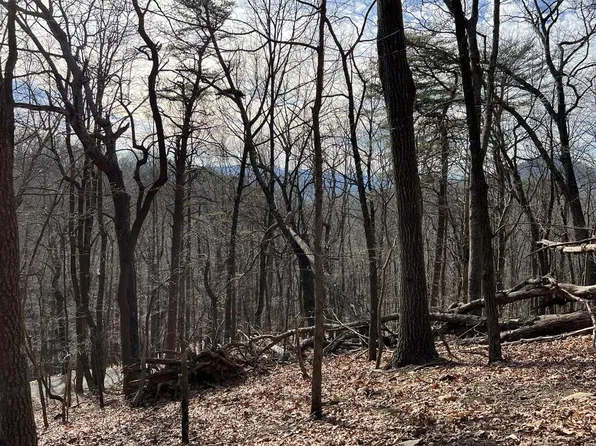 4528 Sassafras Mountain Trl, Jasper, GA 30143