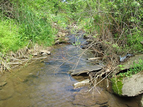 stream runs thru property