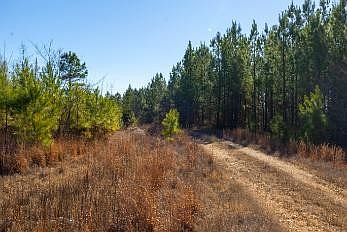 3rd image of 0 White Oak Rd Lot 19