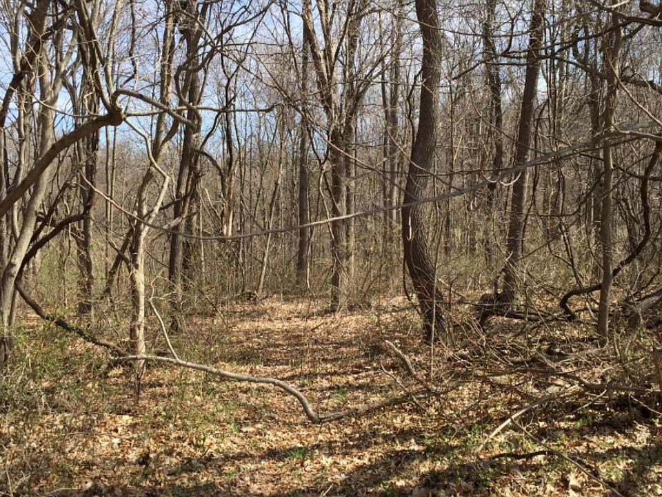 2nd image of Oak Forest Rd