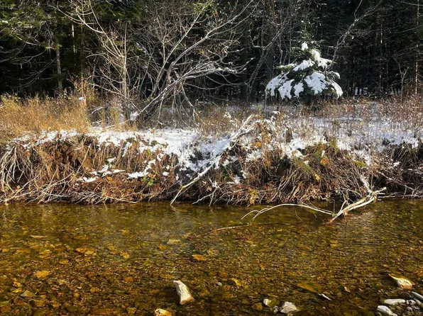 1280 Beaver Creek Rd, Wallace, ID 83873