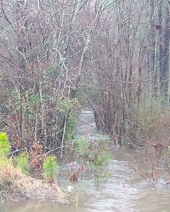 2nd image of 521 Sleepy Bear Rd