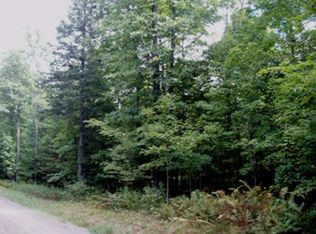 On Wagner Vogt Rd, Butternut, WI 54514