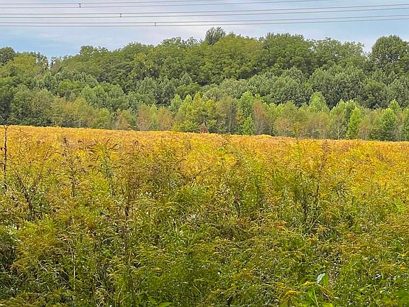 3rd image of 0 County Line Rd