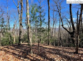 20 Bobcat Mountain Rd, Purlear, NC 28665