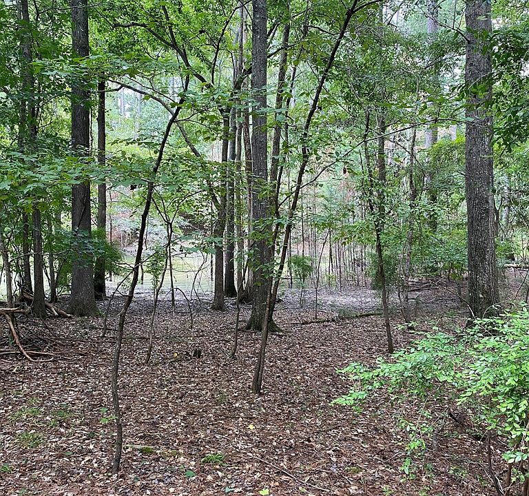 2nd image of Lot 63 Petigru Circle