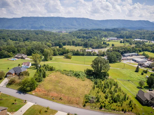 124 Landon Dr, Mount Carmel, TN 37645