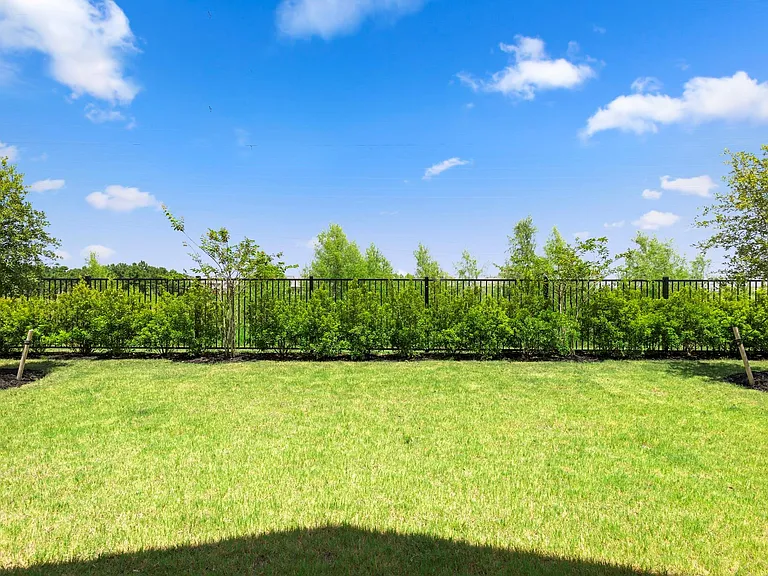 10722 Wild Blue Lupine Way — Photo 43