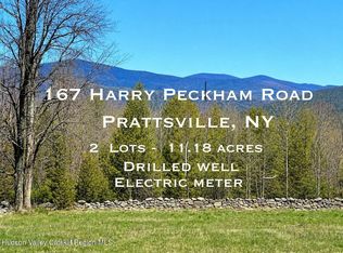 167 Harry Peckham Road, Prattsville, NY 12468