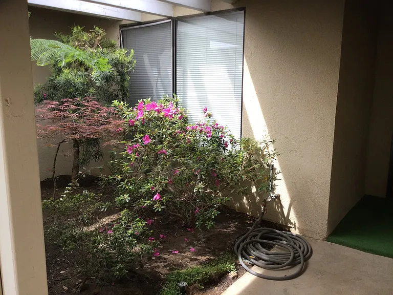 1027 Mirror Lake Dr — Photo 3
