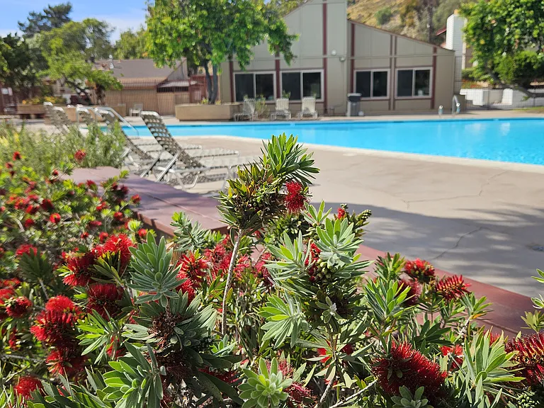 Main pool