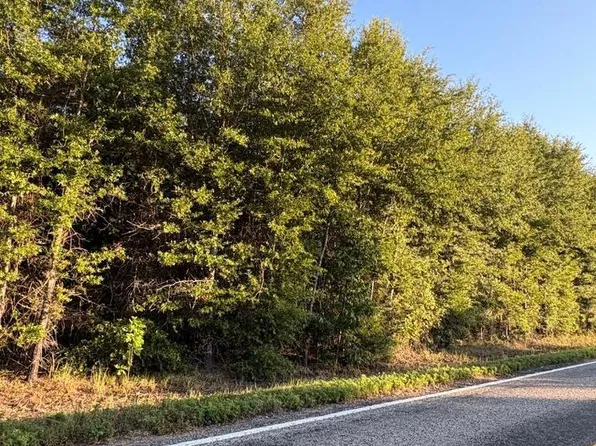 TRACT 17 Highway 990, Simms, TX 75574