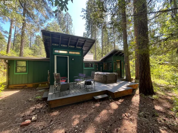 55359 Delta Rd, Blue River, OR 97413