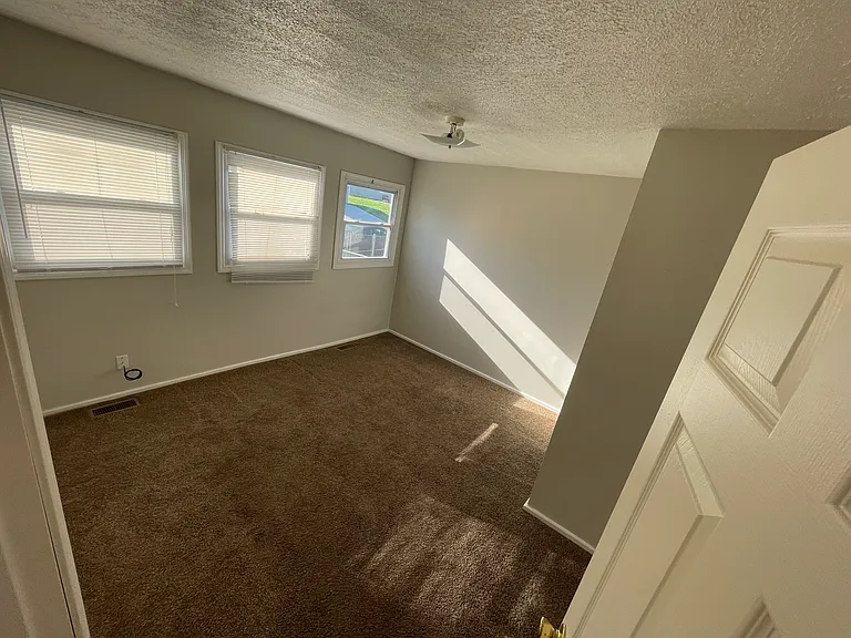 305-307 Halcyon Rd — Photo 5