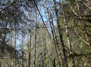 315 Night Hawk Ln, Pt Angeles, WA 98363