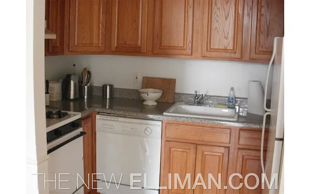 Rented by Douglas Elliman | media 27