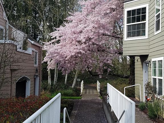 Walking trails right outside your front door.