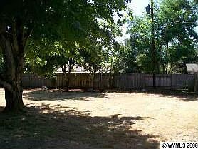 Back yard