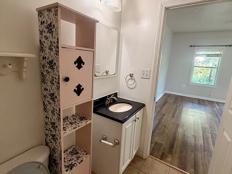 471 Pond Weed Dr #BASEMENT — Photo 7