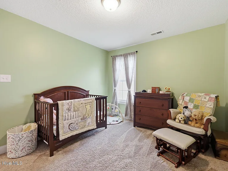 708 Puppy Drum Ln — Photo 26